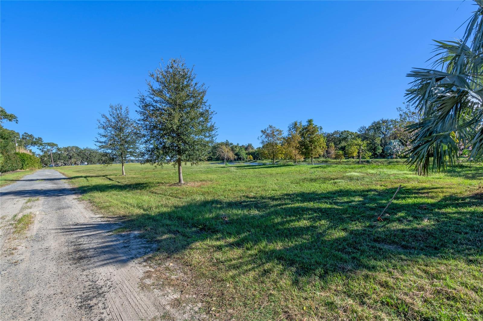 10948 Down Park Ln Property Photo 22