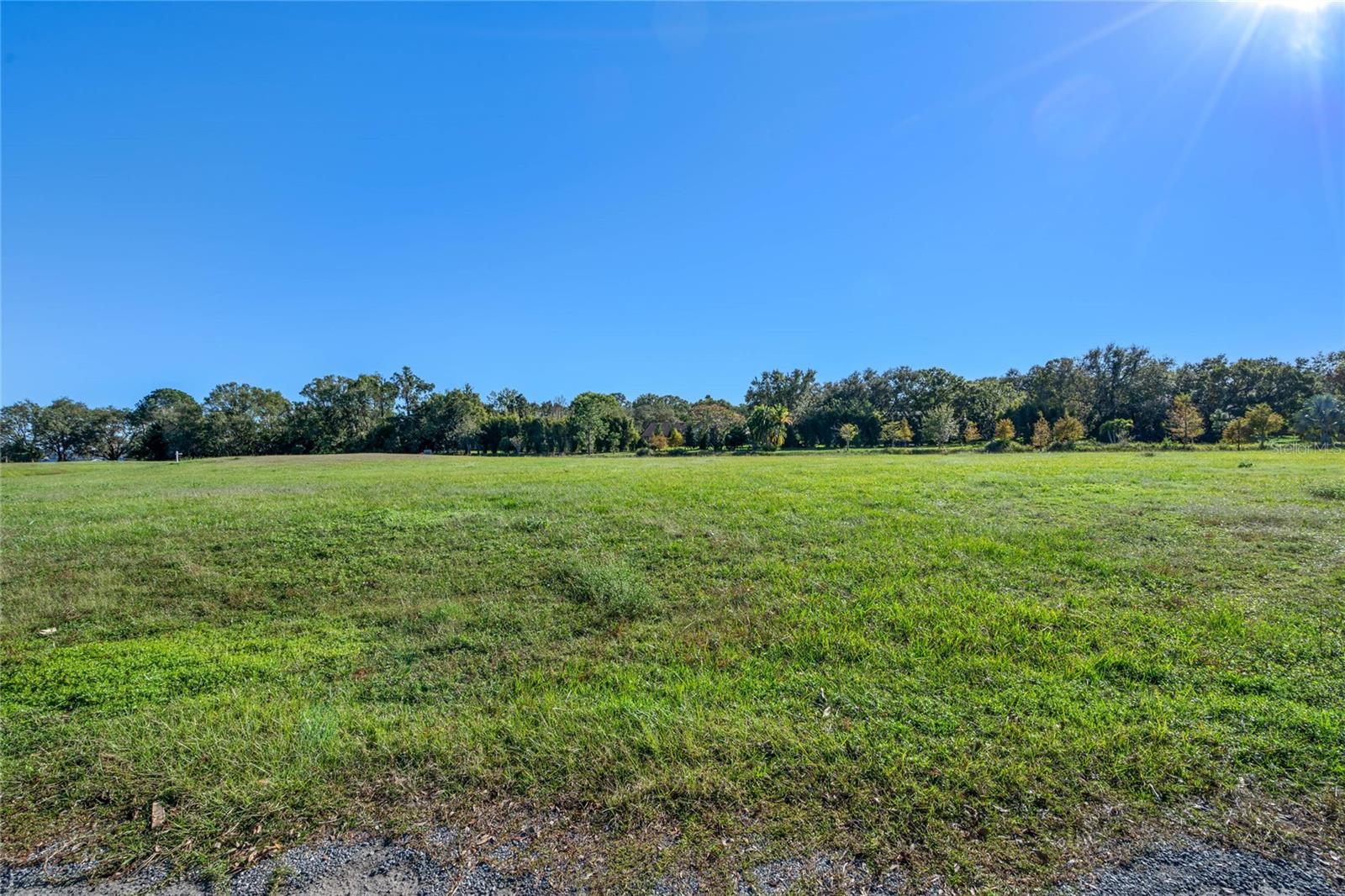 10948 Down Park Ln Property Photo 23