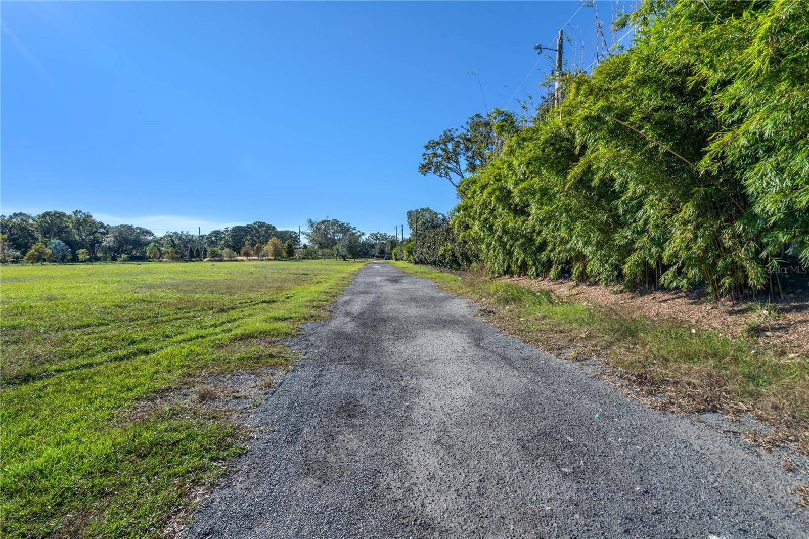10948 Down Park Ln Property Photo 30