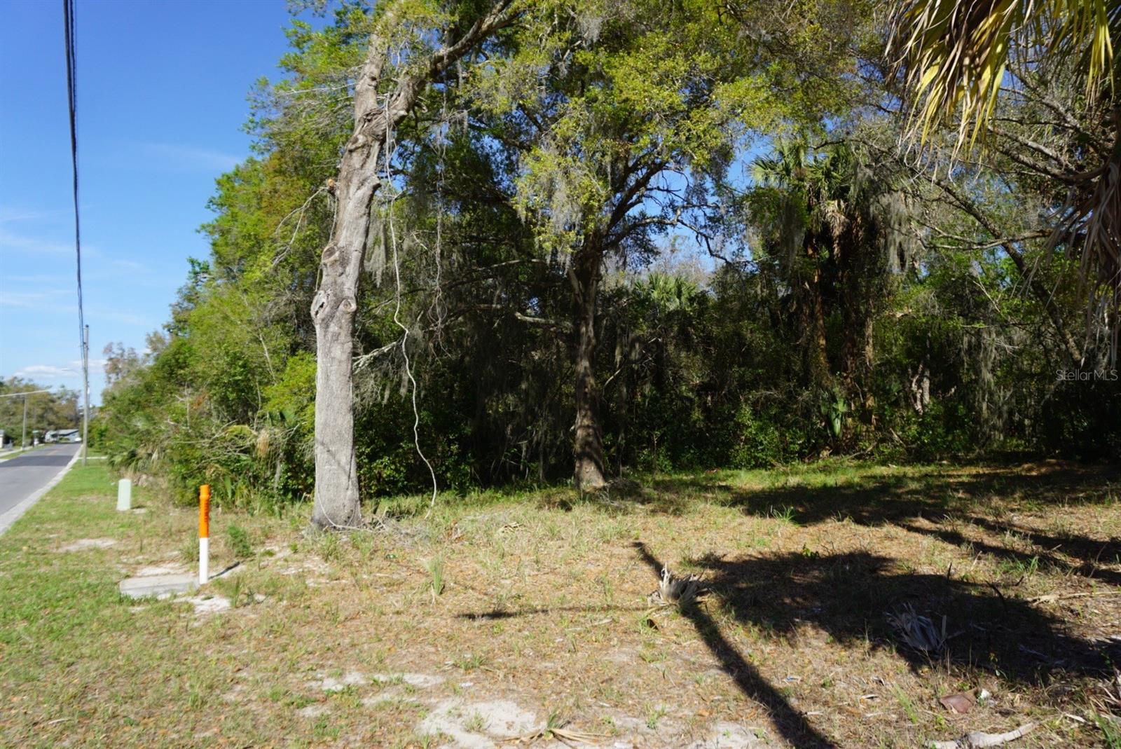 Palmetto St Property Photo 2