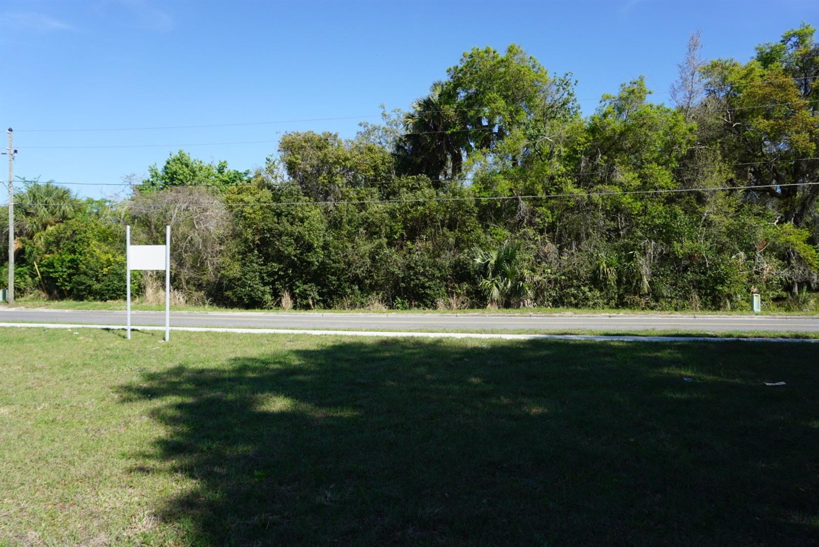 Palmetto St Property Photo 3