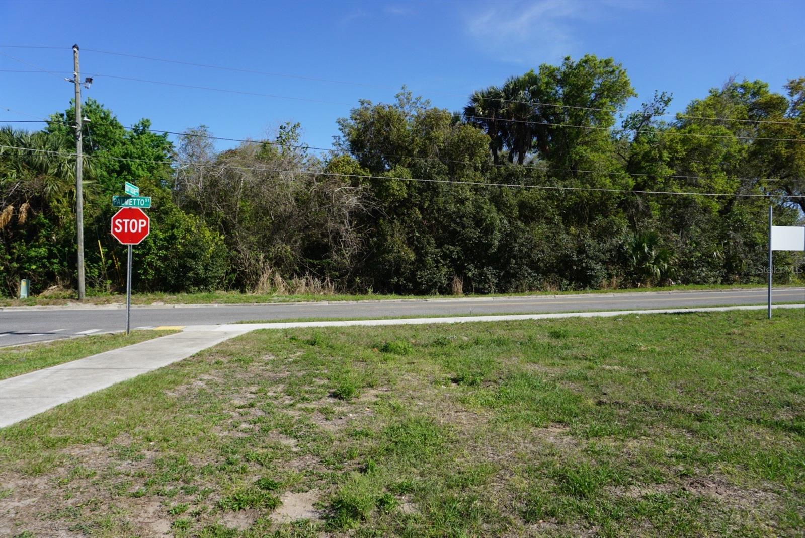 Palmetto St Property Photo 4