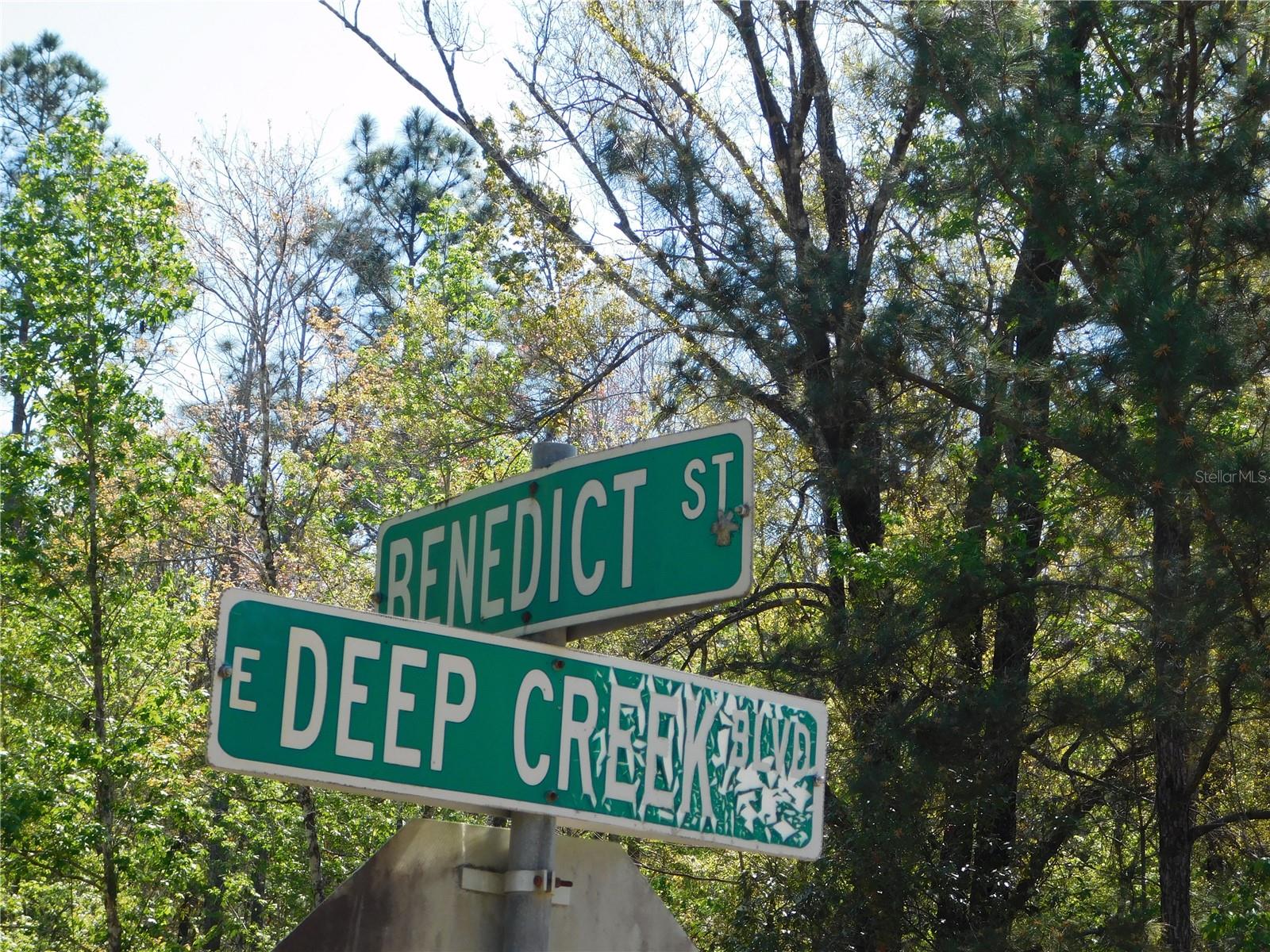 10505 E Deep Creek Blvd Property Photo 6