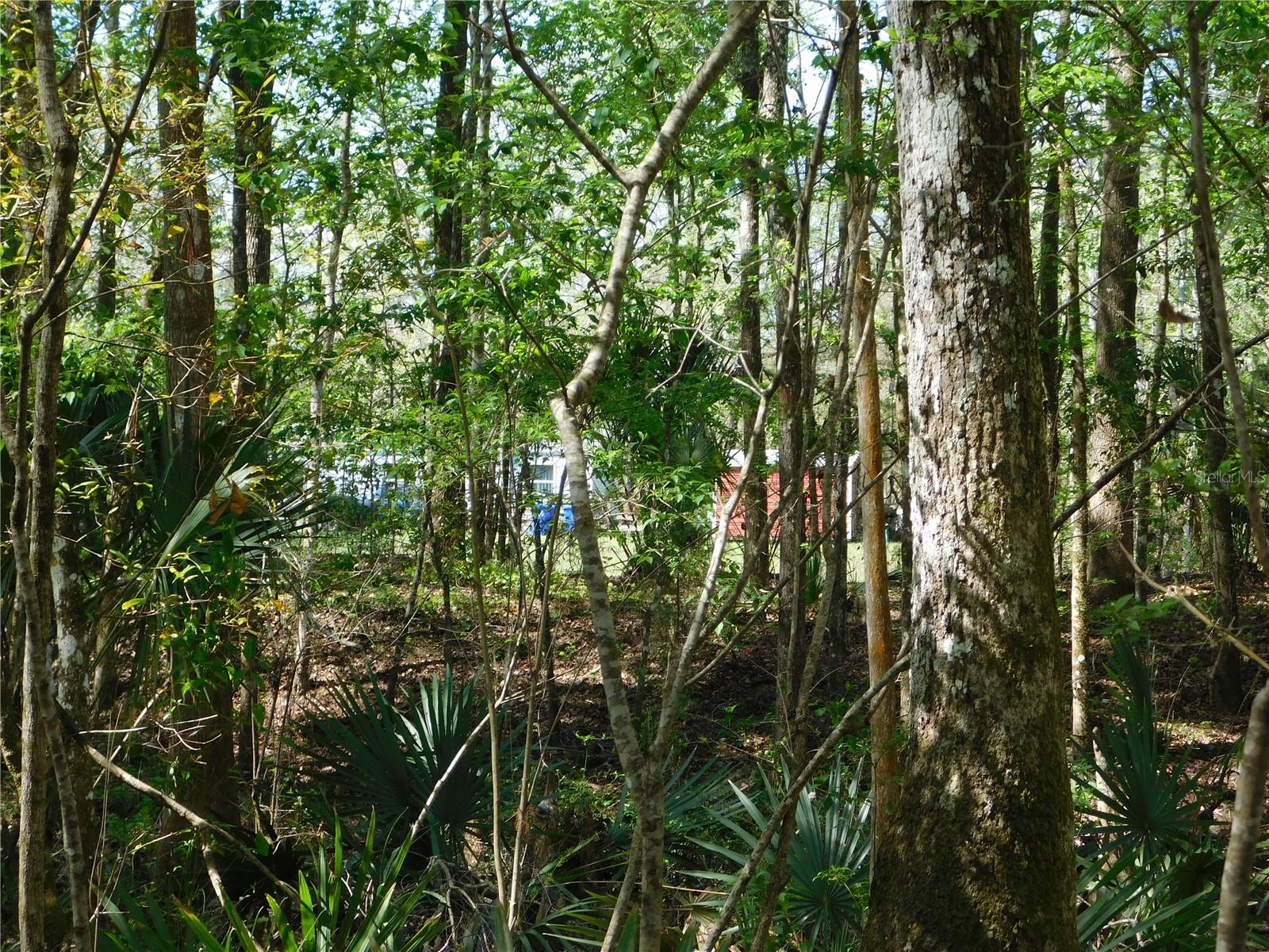 10505 E Deep Creek Blvd Property Photo 13