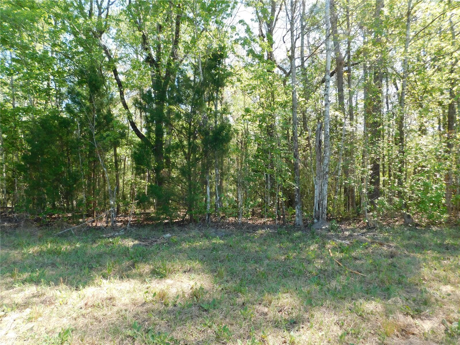 10505 E Deep Creek Blvd Property Photo 21