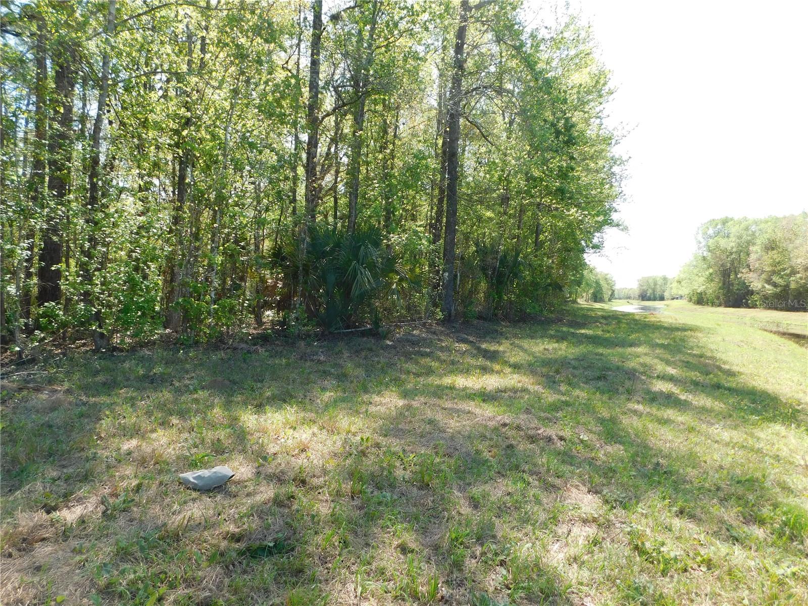 10505 E Deep Creek Blvd Property Photo 22
