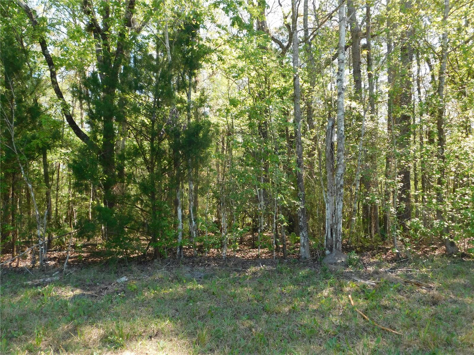 10505 E Deep Creek Blvd Property Photo 25