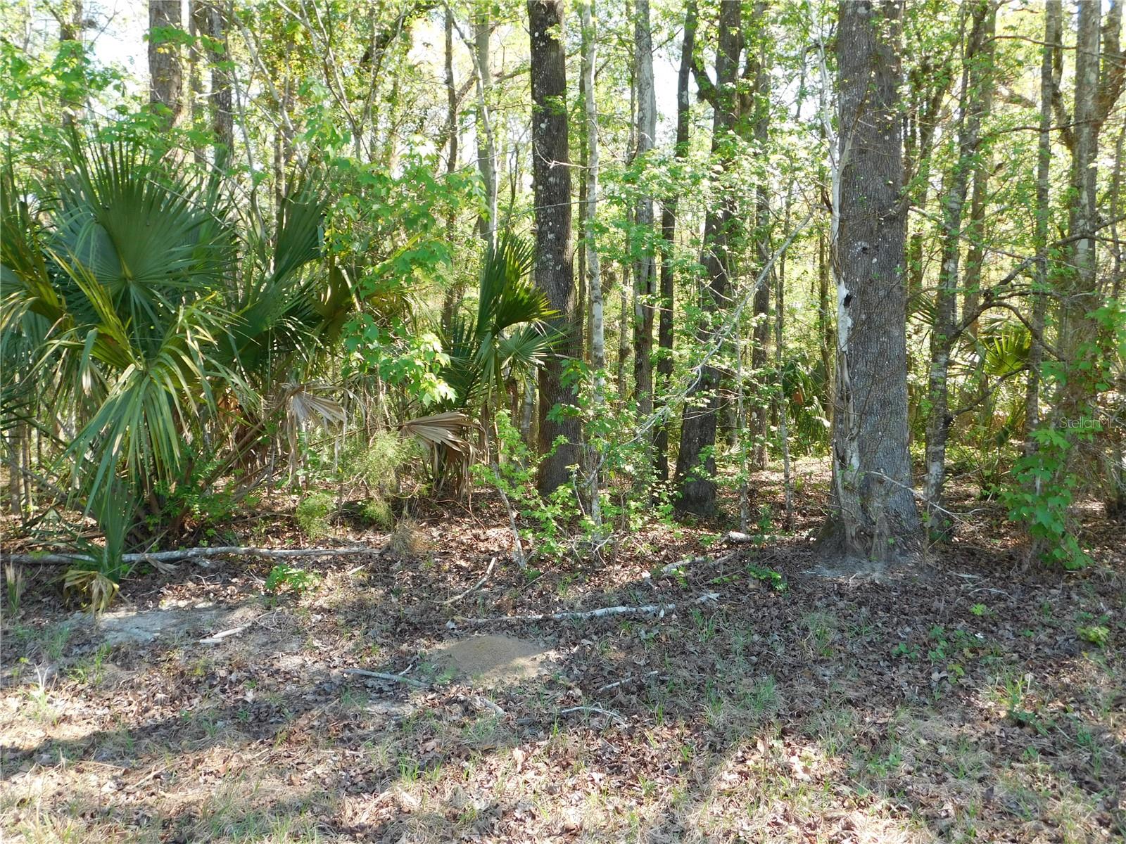 10505 E Deep Creek Blvd Property Photo 26