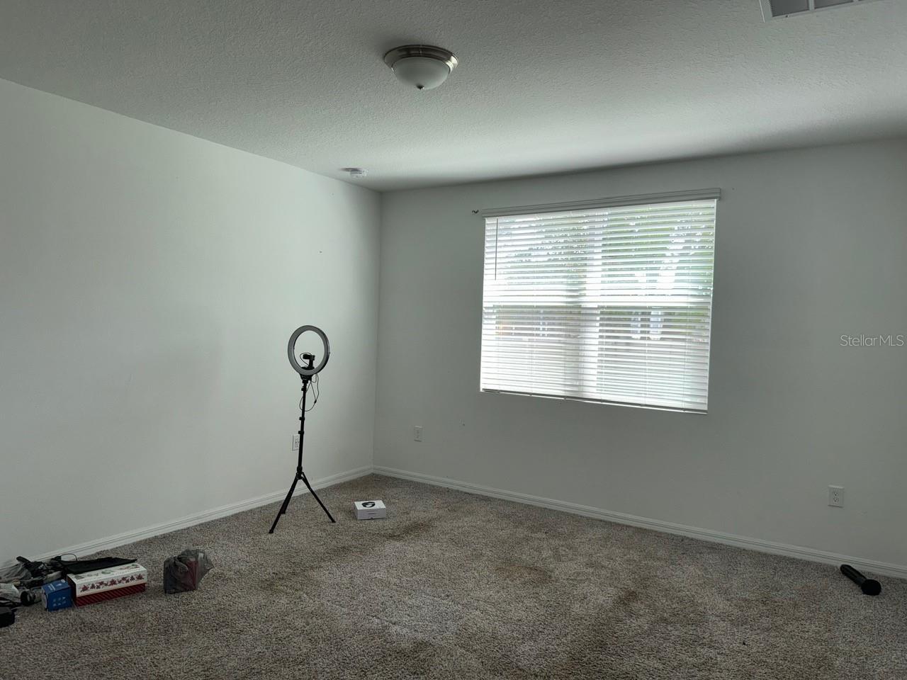 3098 Laurel Oak Ln Property Photo 9