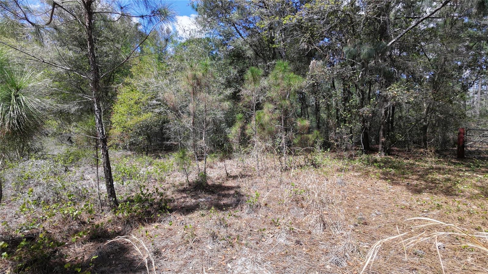 Los Robles Dr Property Photo 4