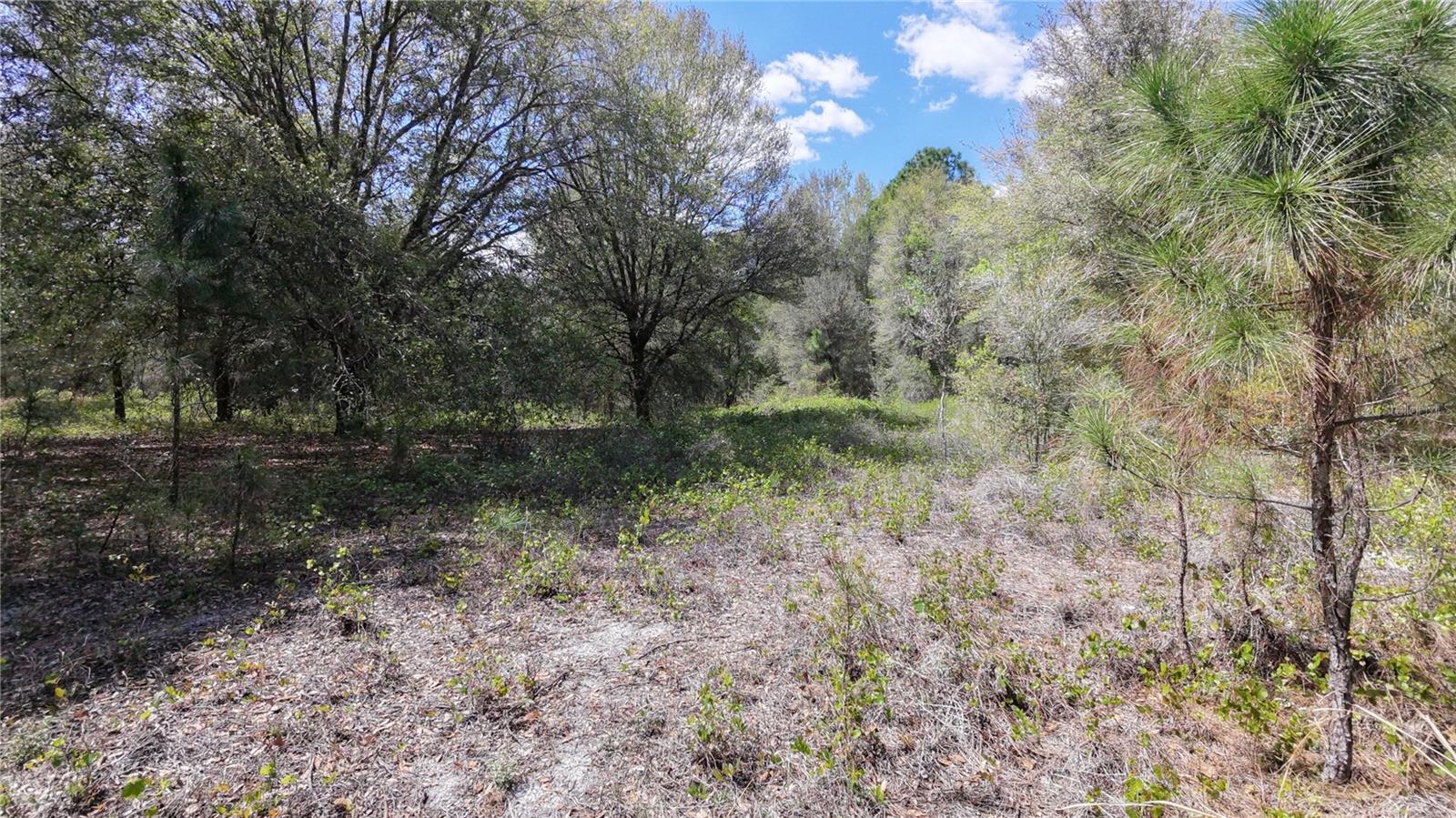 Los Robles Dr Property Photo 5