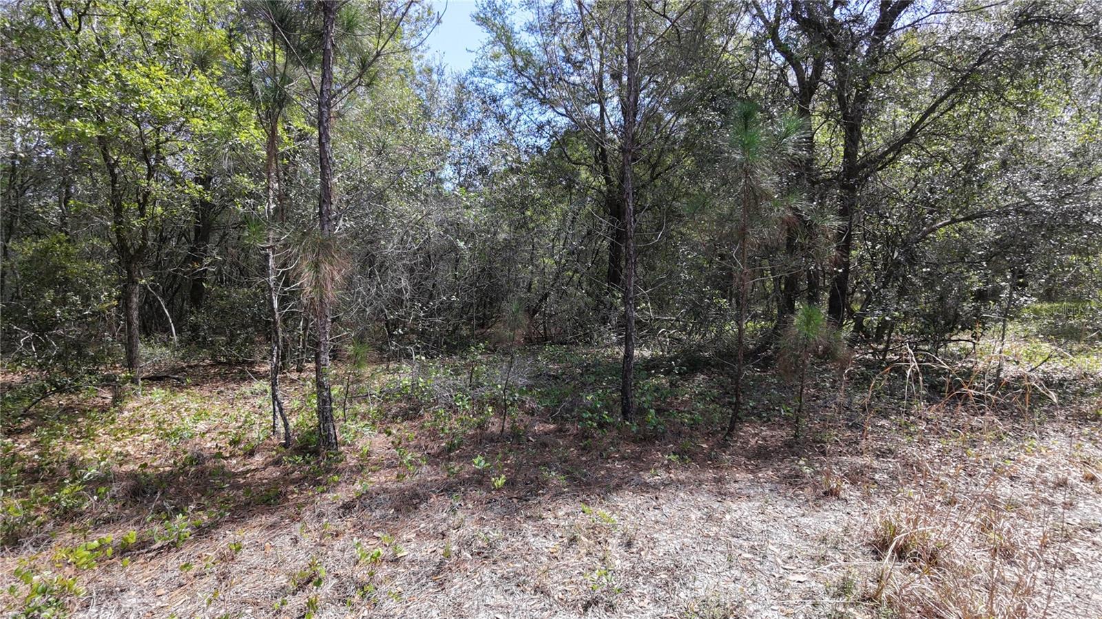 Los Robles Dr Property Photo 6