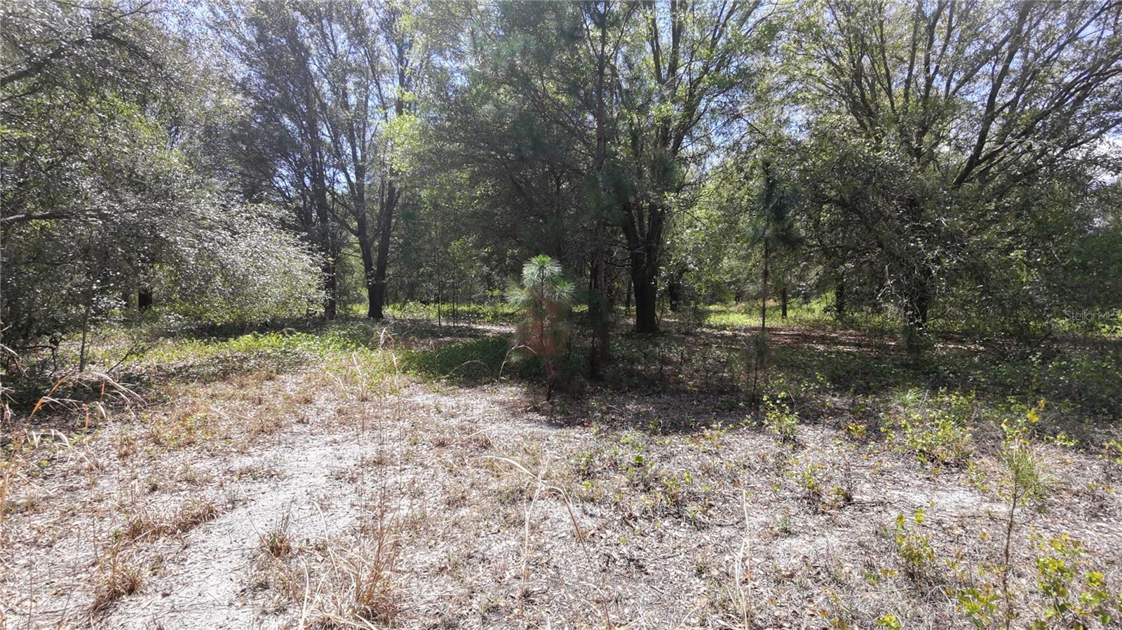 Los Robles Dr Property Photo 7