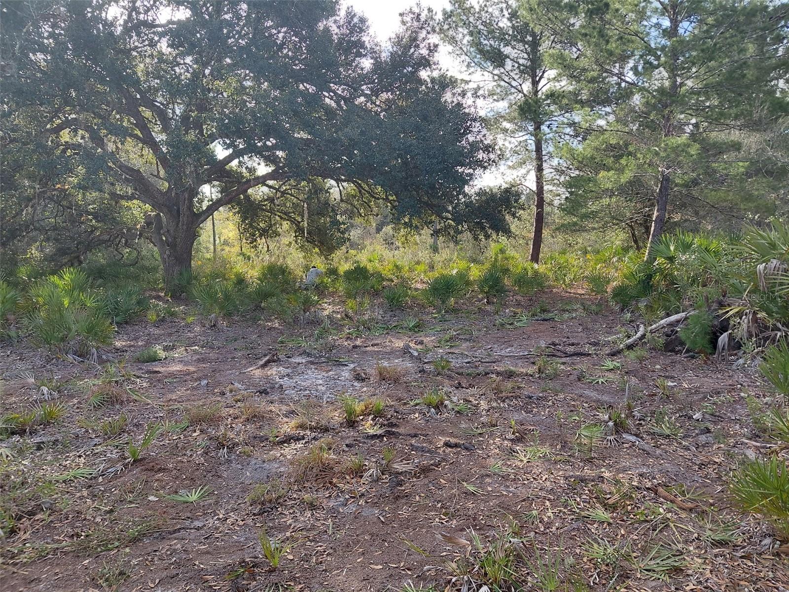 4311 Gardenia Dr Property Photo 6