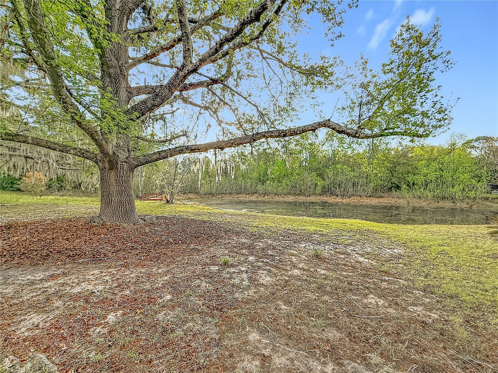 1975 N Scenic Way Property Photo 18