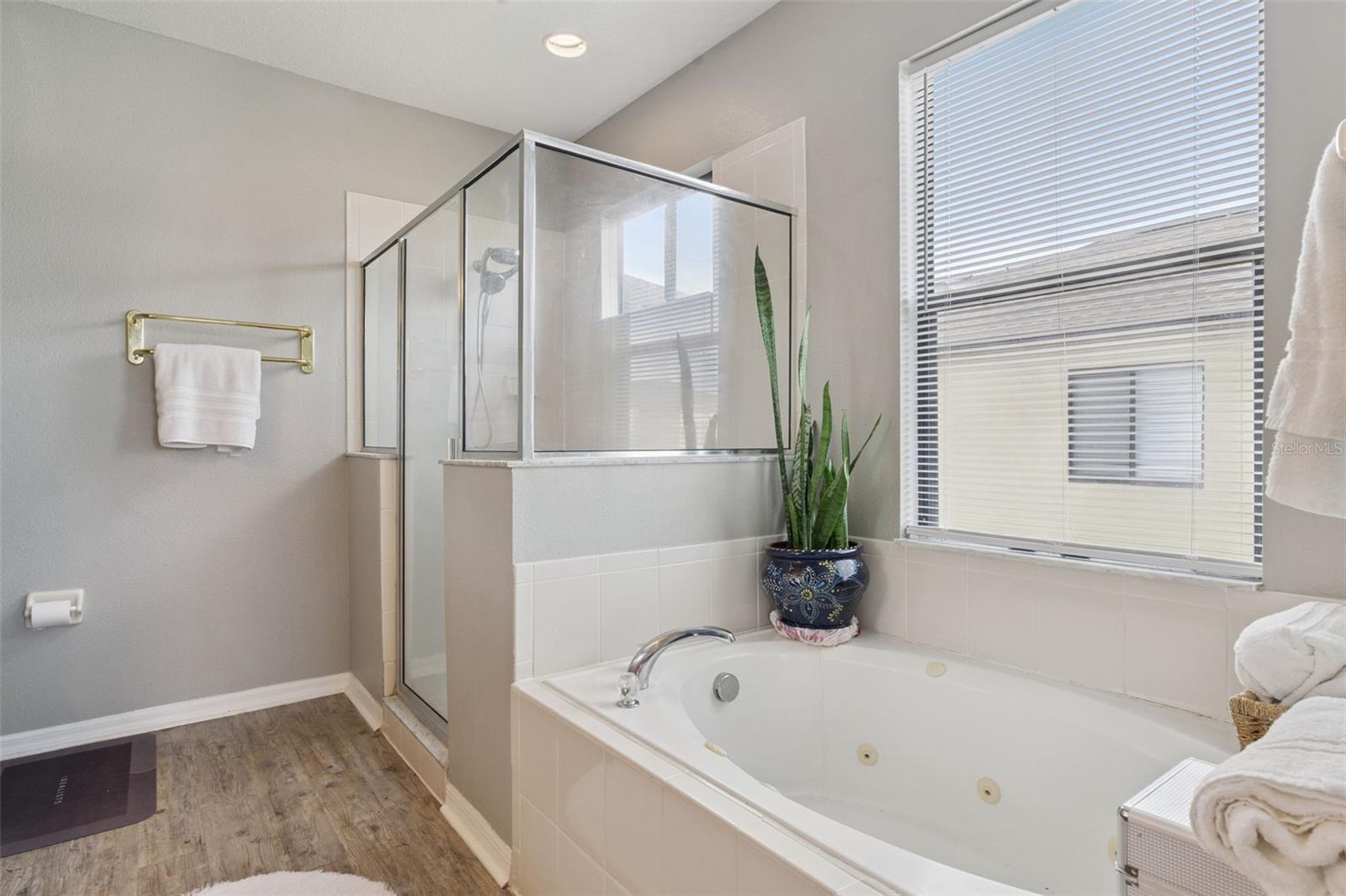 9708 Old Patina Way Property Photo 37