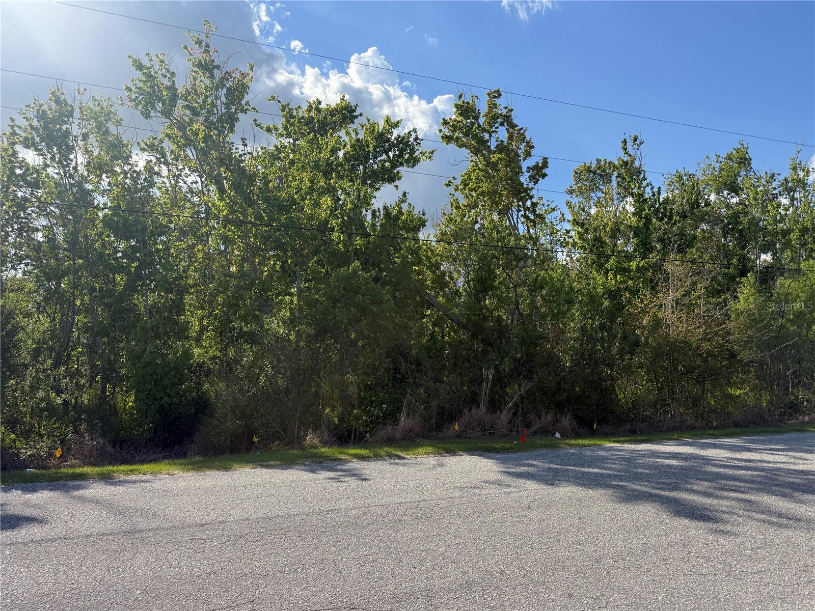 Gadson St Property Photo 3