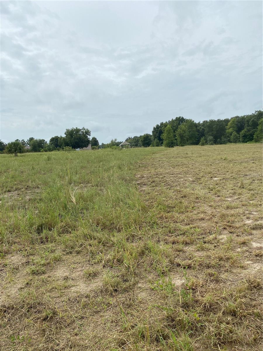 South O 'brien Rd Property Photo 5