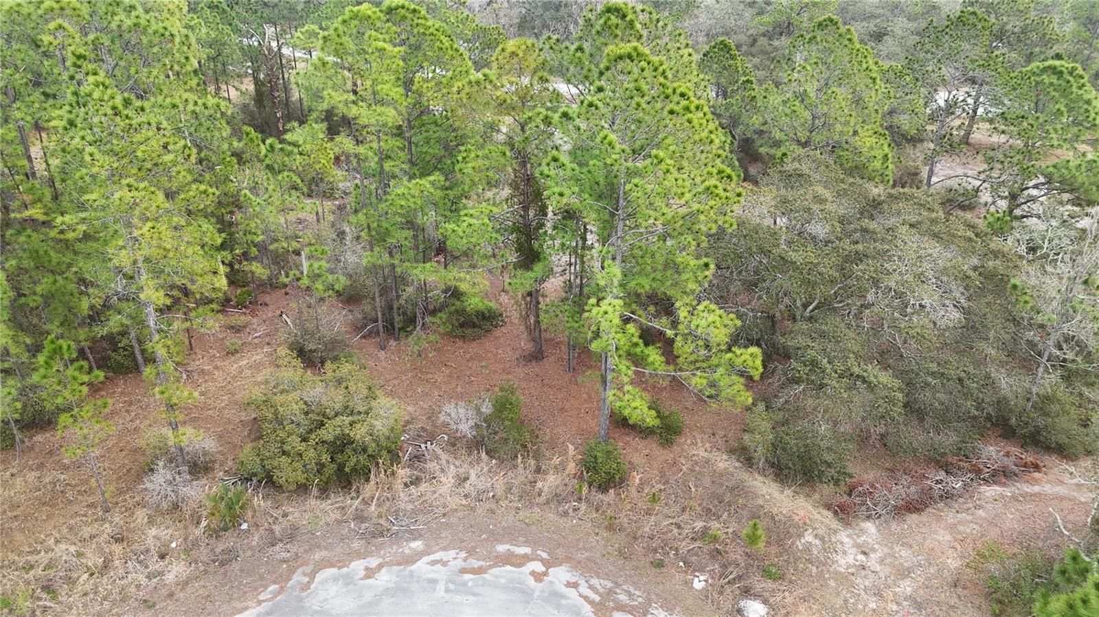 1255 Wahneta Dr Property Photo 1