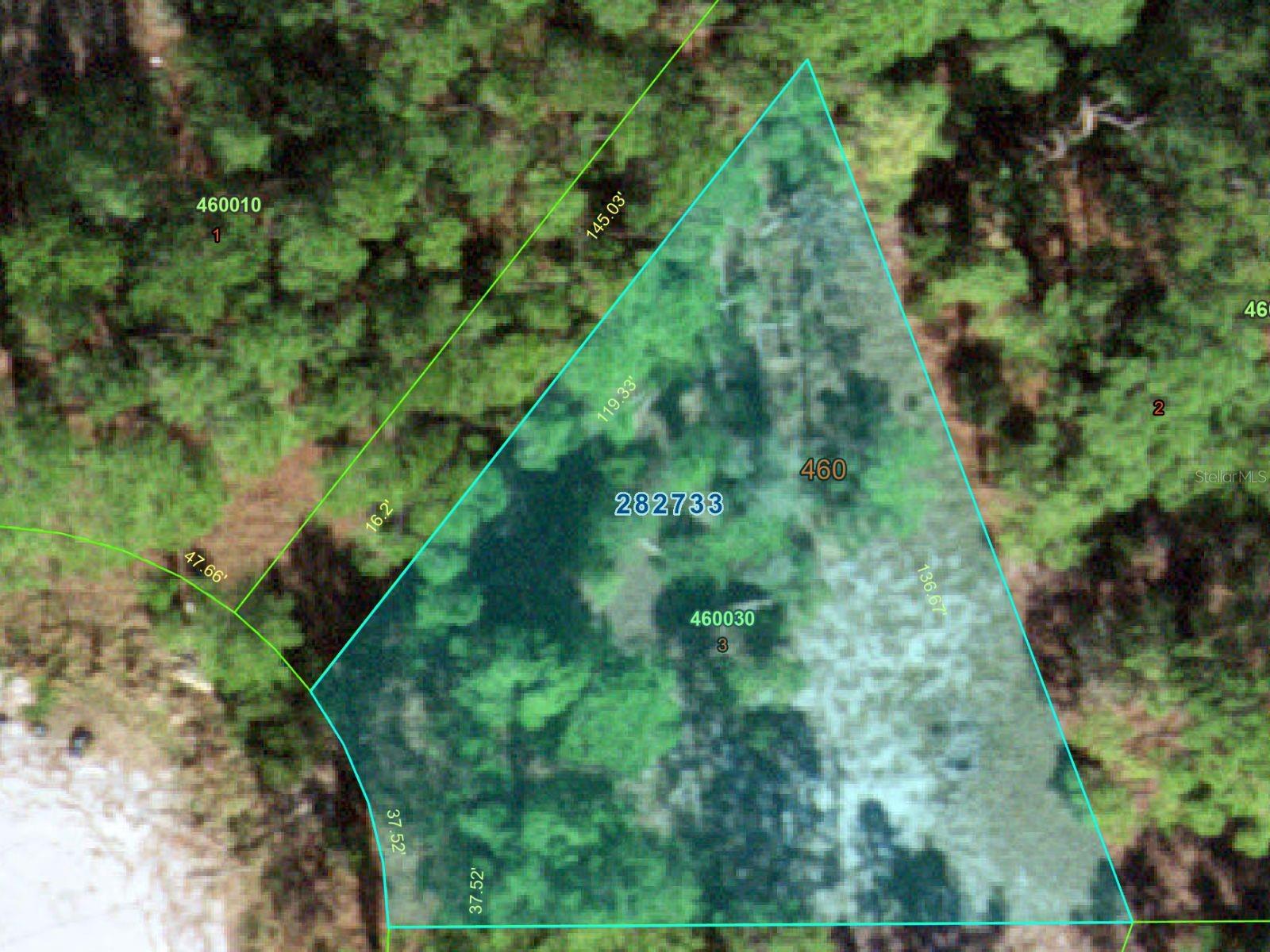 1255 Wahneta Dr Property Photo 7