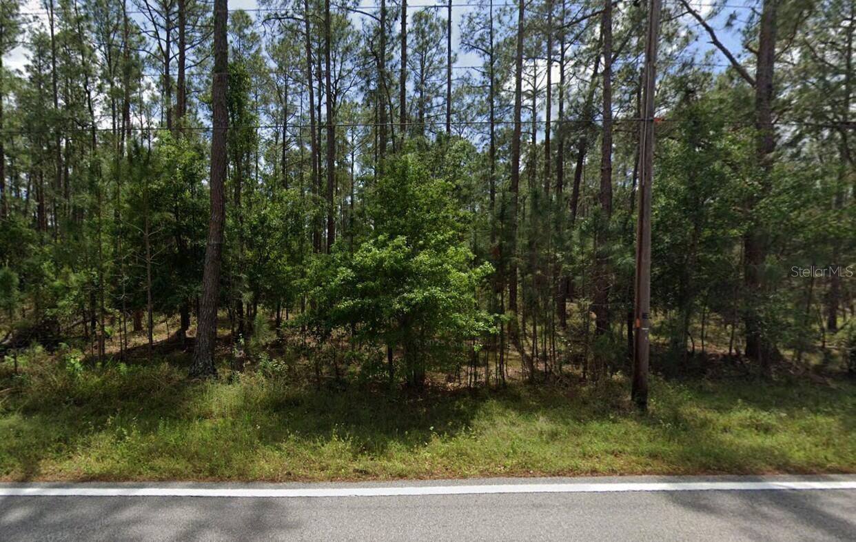Poyner Oaks Rd N Property Photo 2
