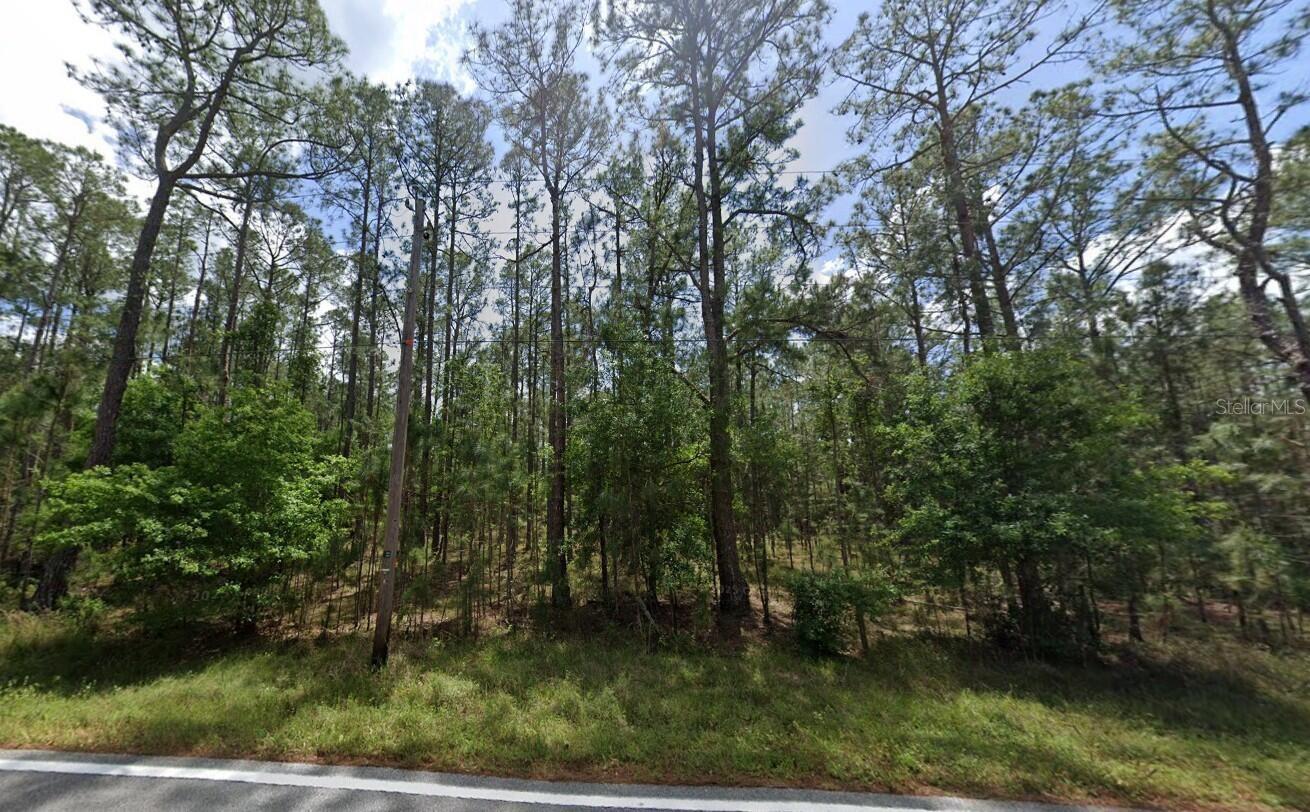Poyner Oaks Rd N Property Photo 3