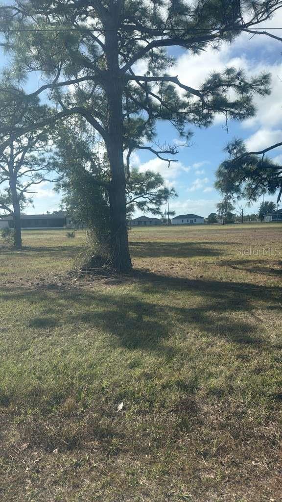 19 CARLINE LN Property Photo 1
