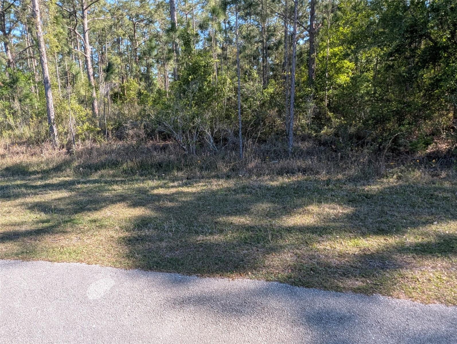 6365 Amaryllis Dr Property Photo 9