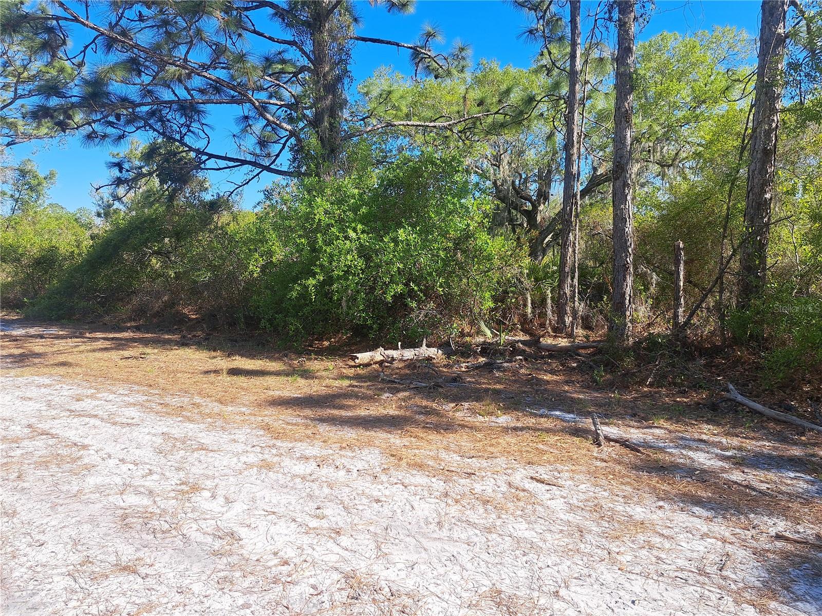 604 Camellia Dr Property Photo 4