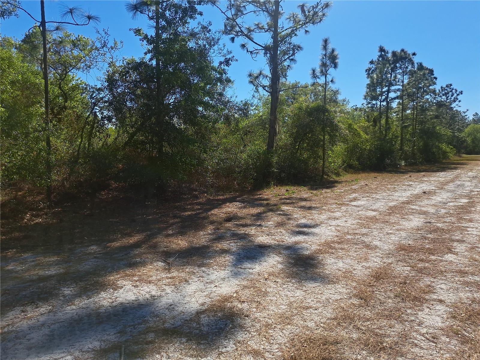604 Camellia Dr Property Photo 5
