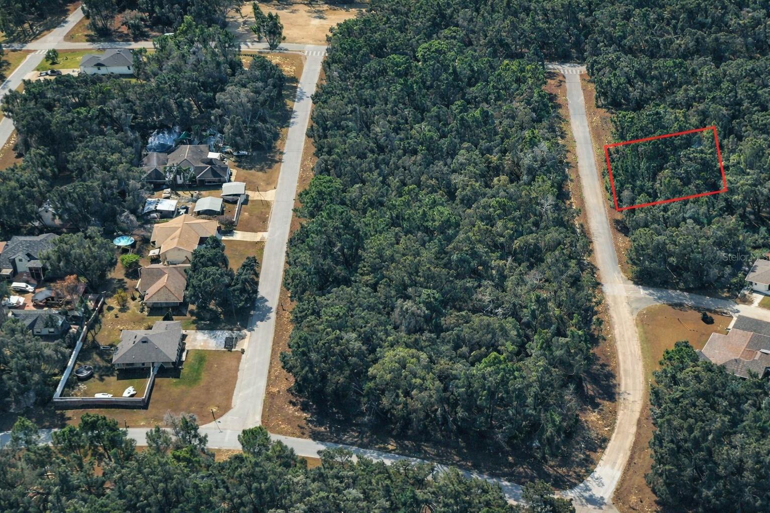 11328 N Cathy Ter Property Photo 1
