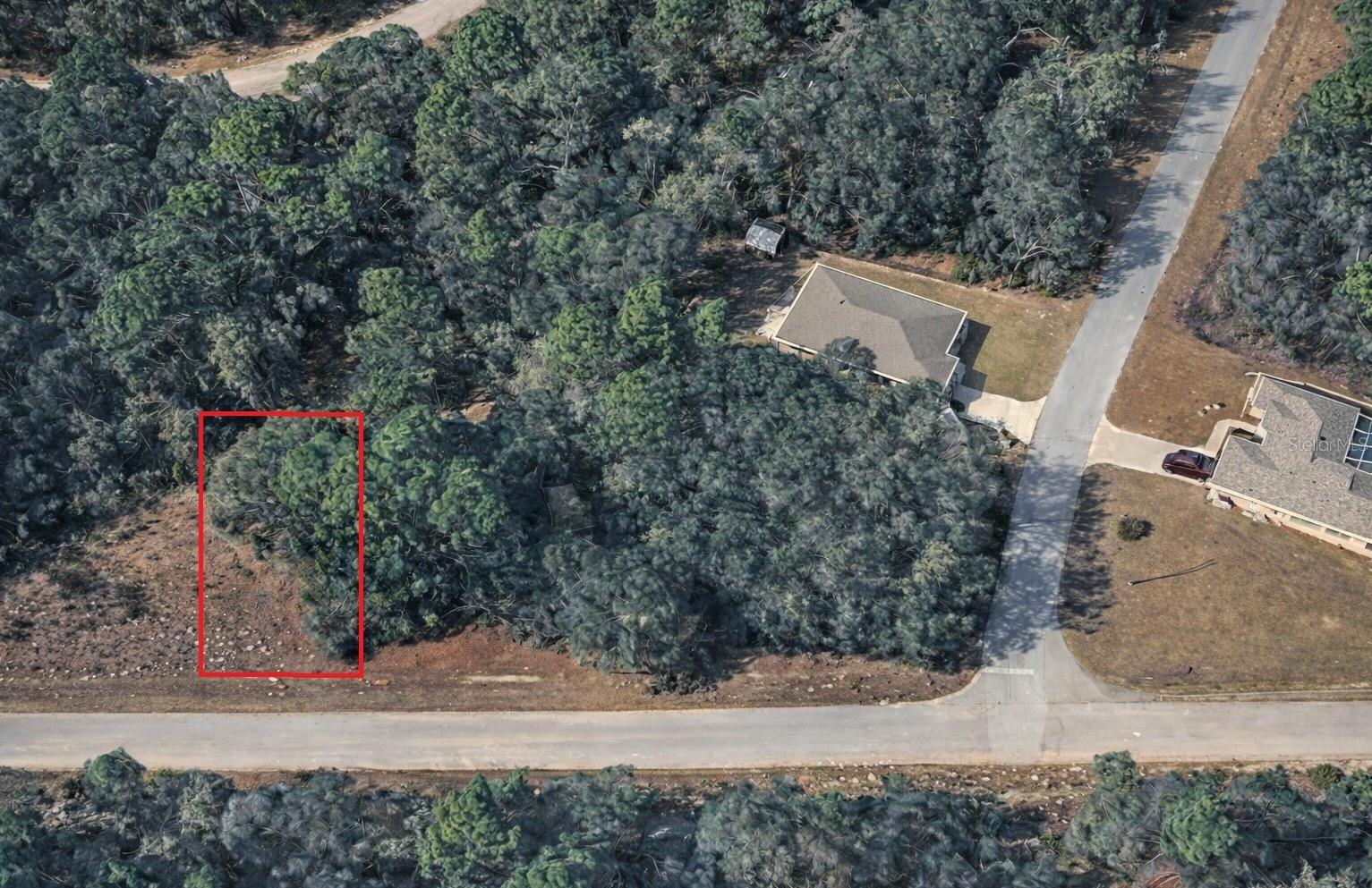 11328 N Cathy Ter Property Photo 2