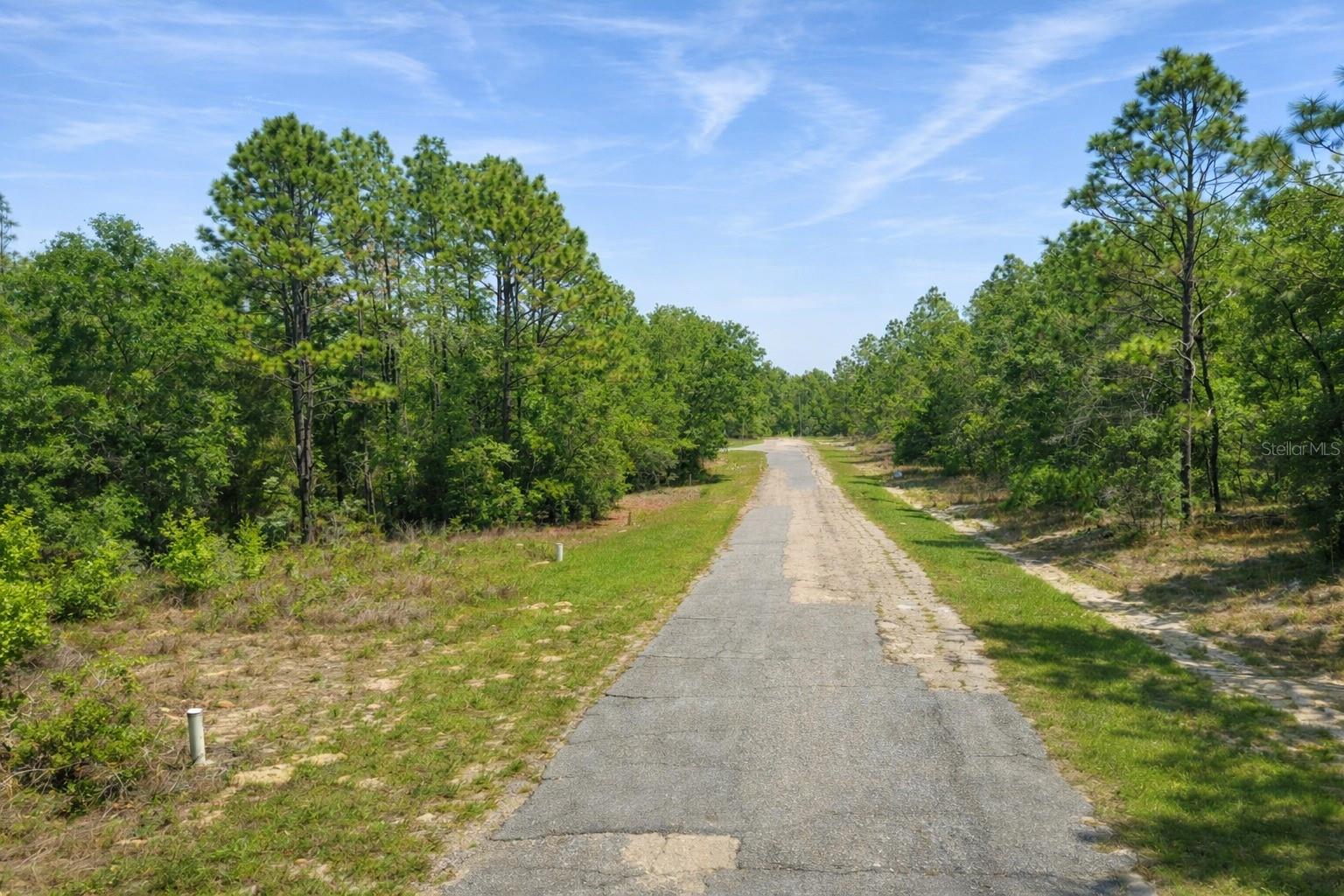 11328 N Cathy Ter Property Photo 3