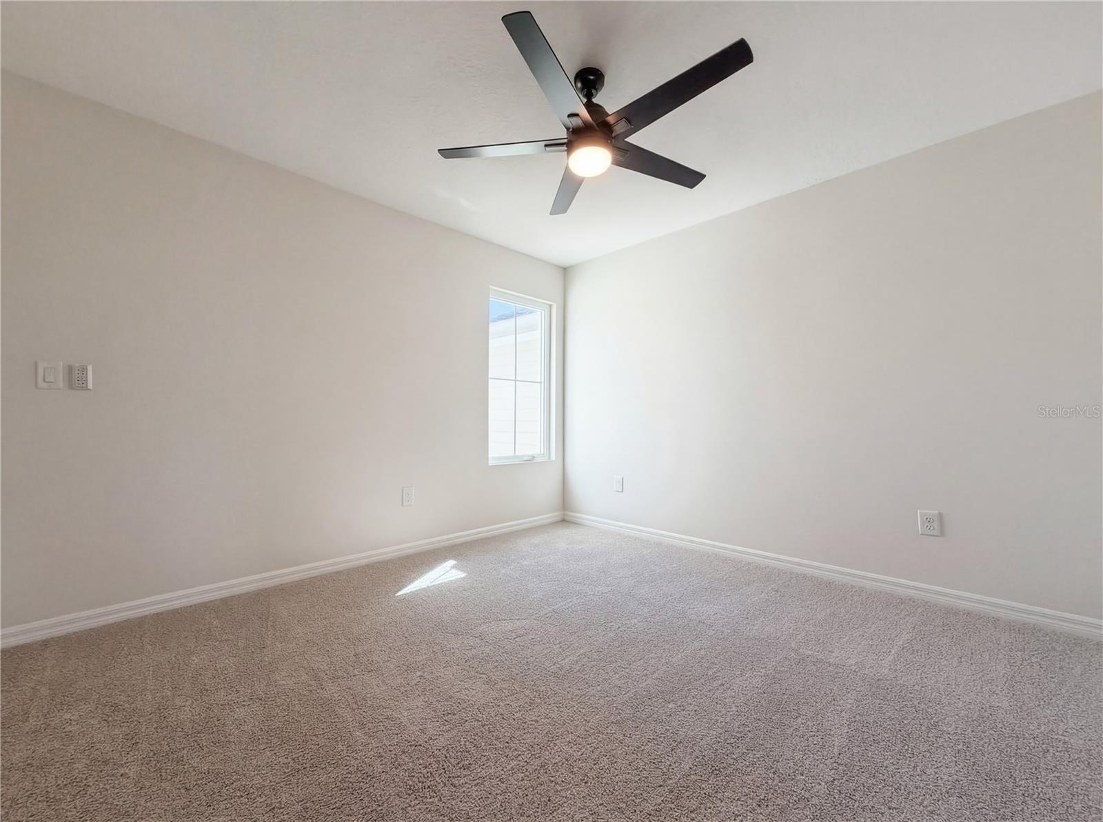 10844 Verawood Dr Property Photo 16