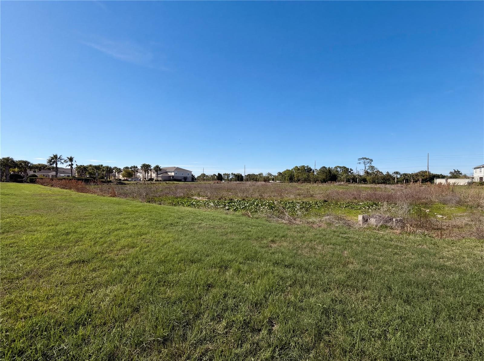 10844 Verawood Dr Property Photo 24