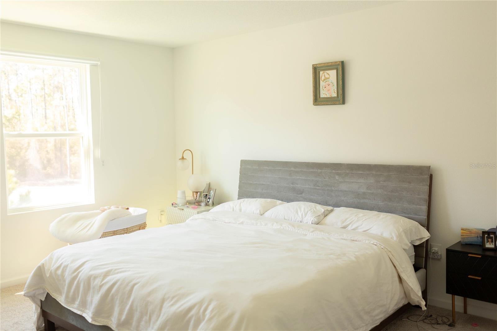2015 Hemingway Cir Property Photo 9