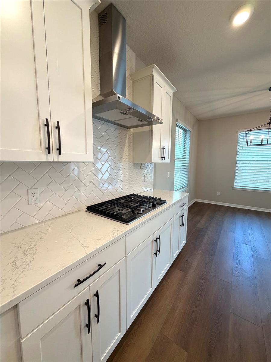 9872 Aurea Moss Ln Property Photo 11