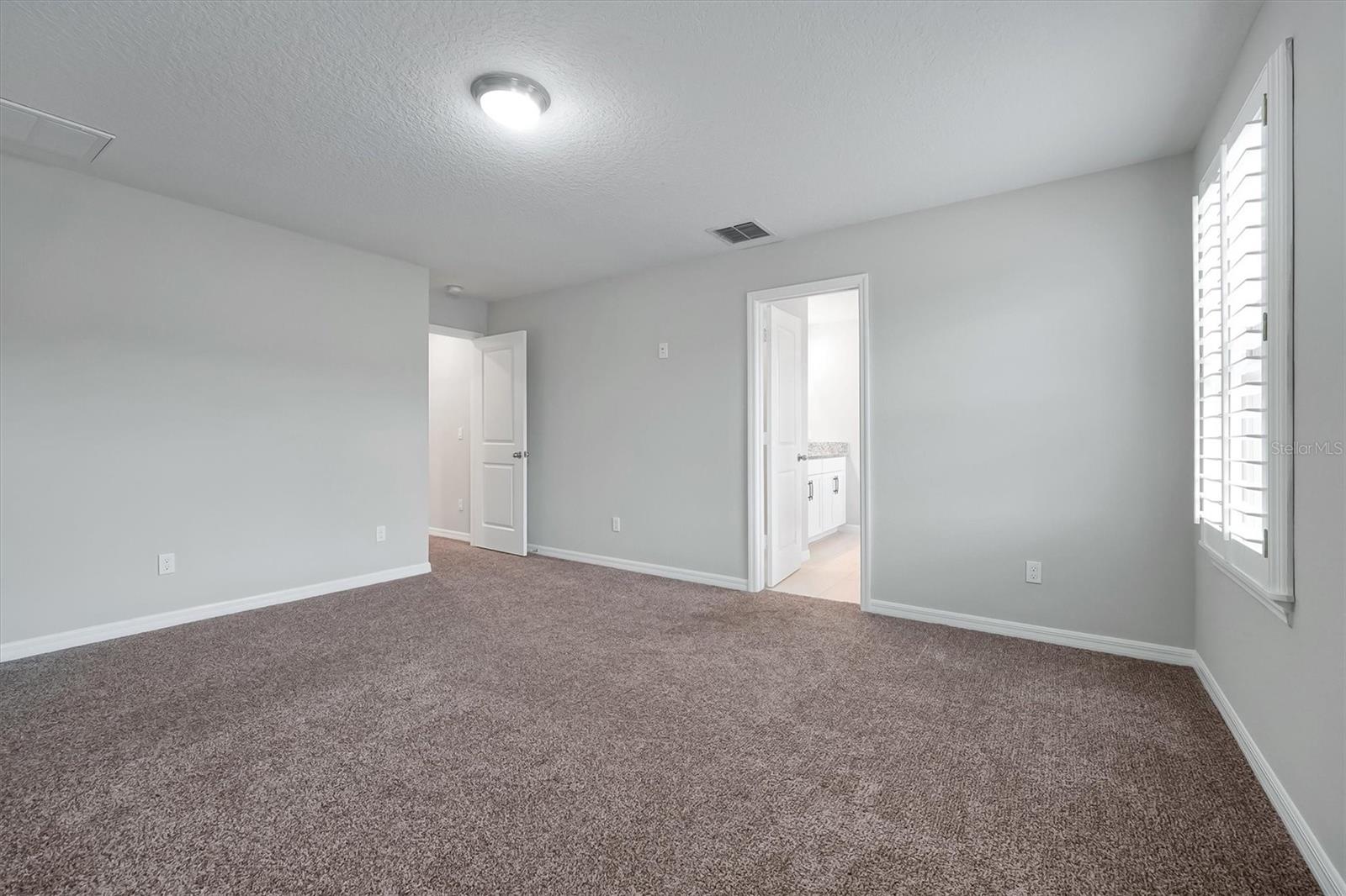 9872 Aurea Moss Ln Property Photo 17