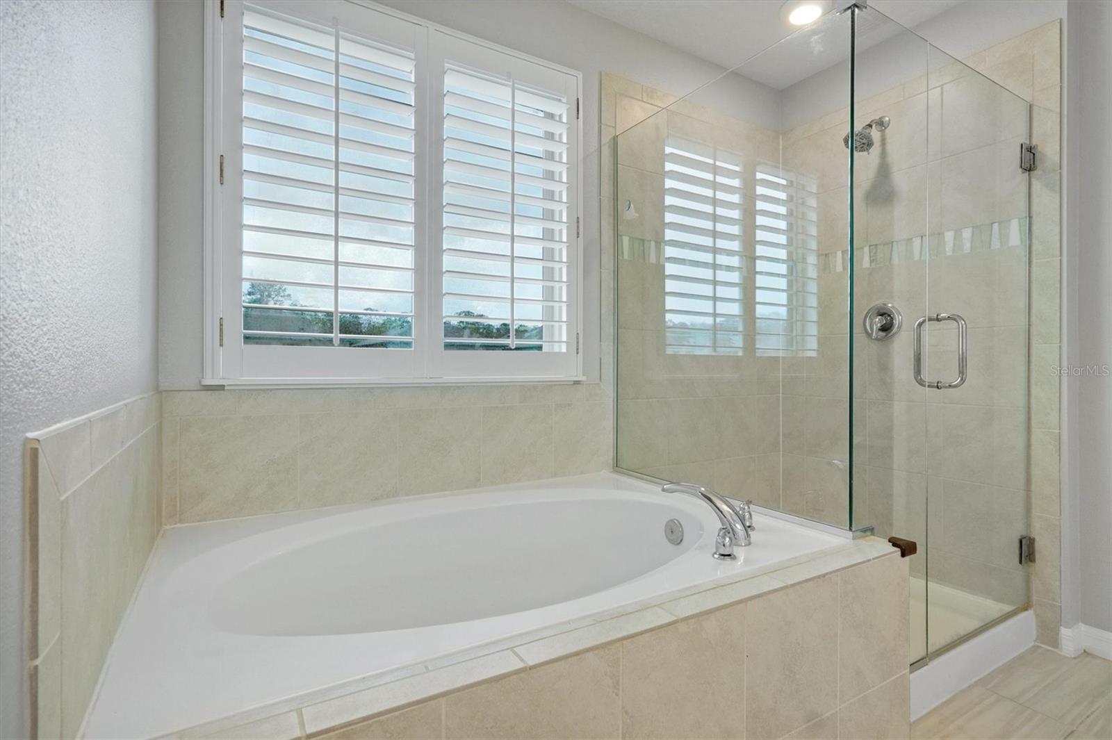 9872 Aurea Moss Ln Property Photo 19
