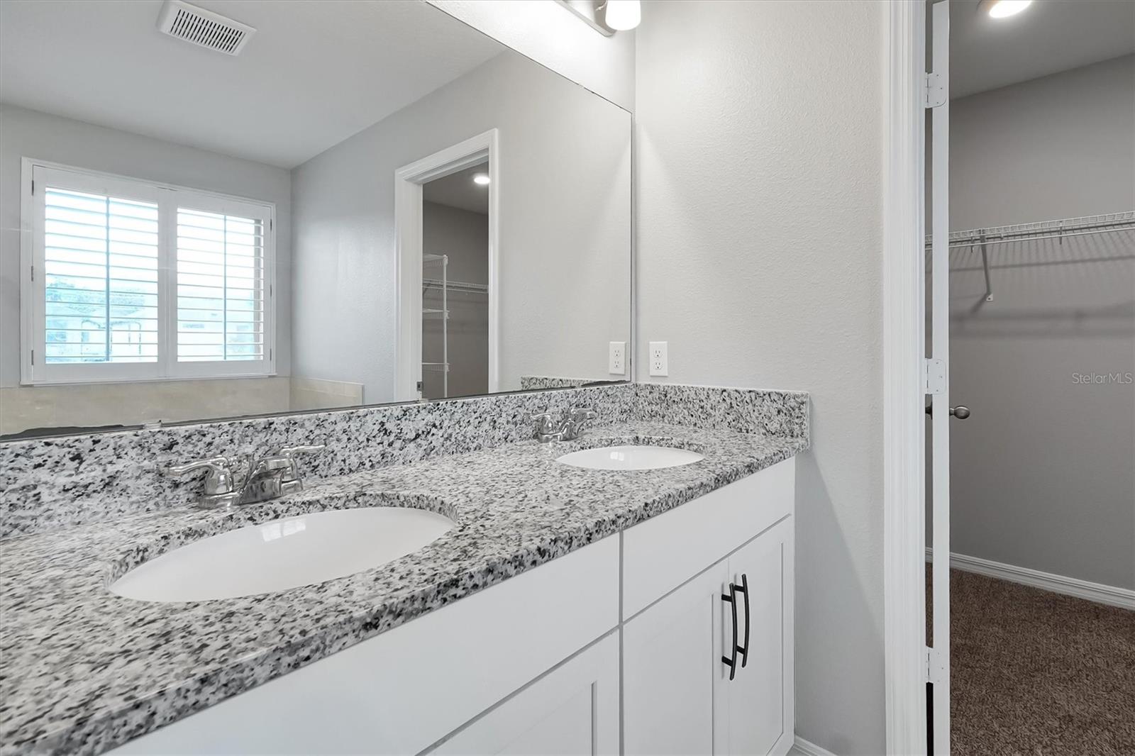 9872 Aurea Moss Ln Property Photo 20