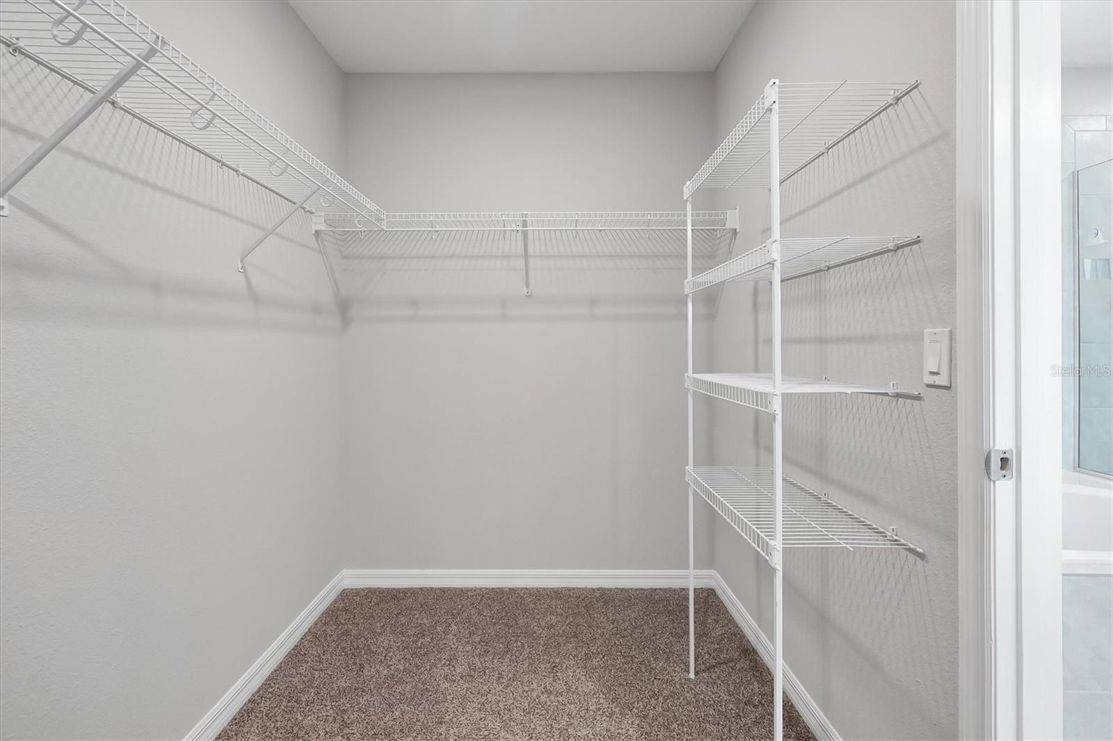 9872 Aurea Moss Ln Property Photo 21