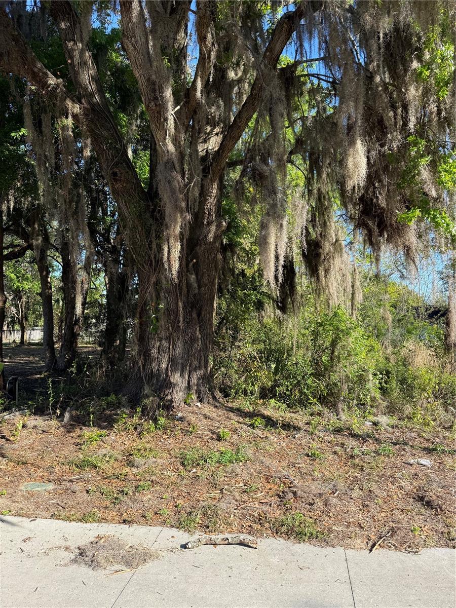 3rd St Property Photo 2