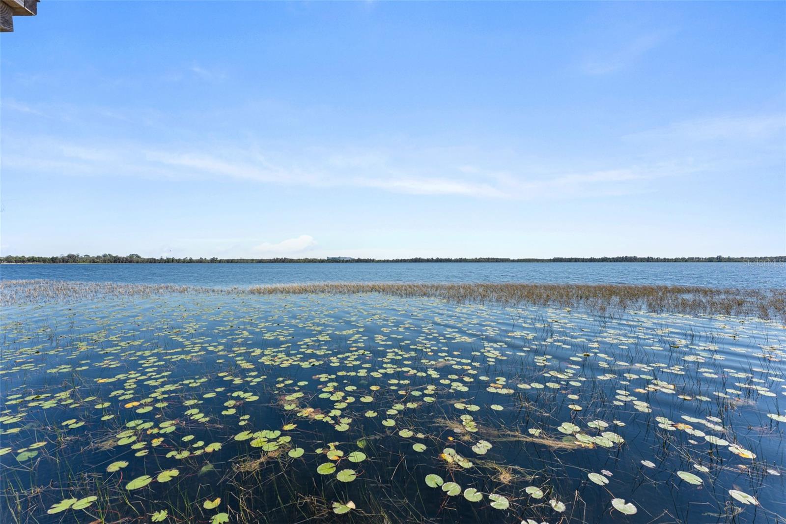 8506 Lake Nona Shore Dr Property Photo 87