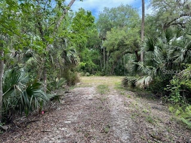 1747 Turtle Hill Rd Property Photo 4