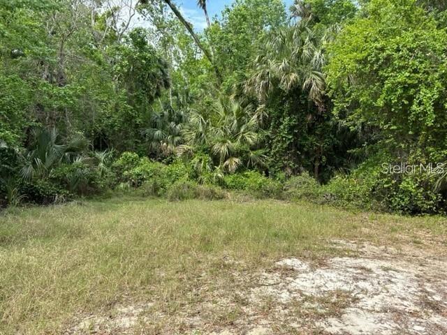 1747 Turtle Hill Rd Property Photo 5