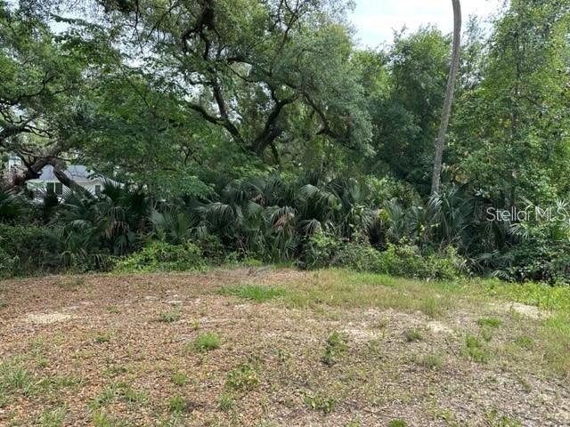 1747 Turtle Hill Rd Property Photo 6