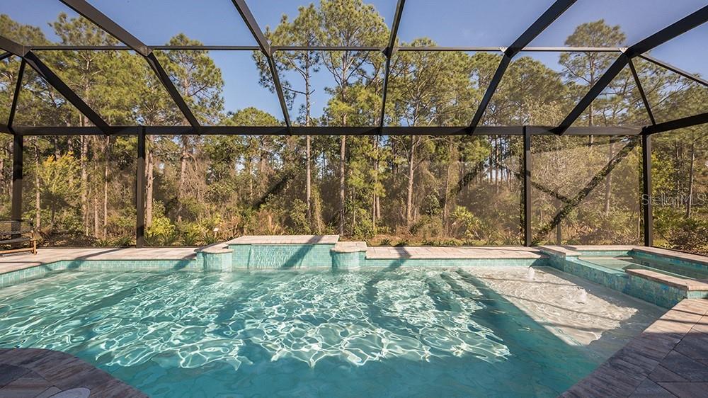 997 Tassleflower Trl Property Photo 19