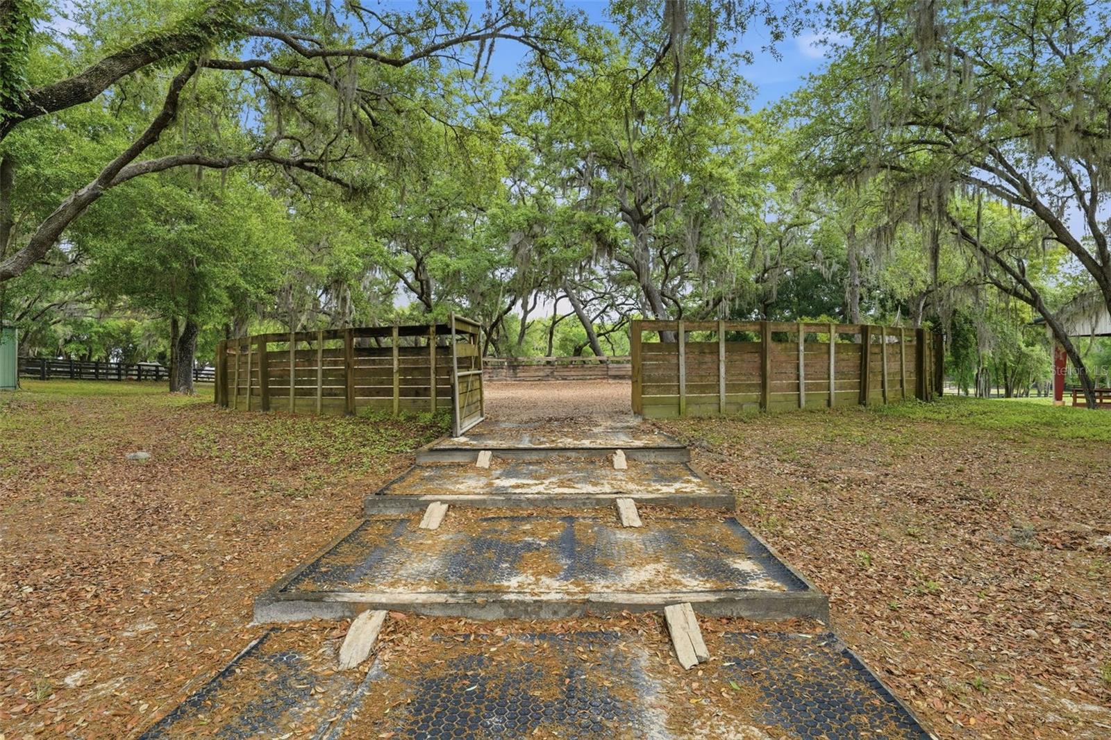 2020 Haas Rd Property Photo 28