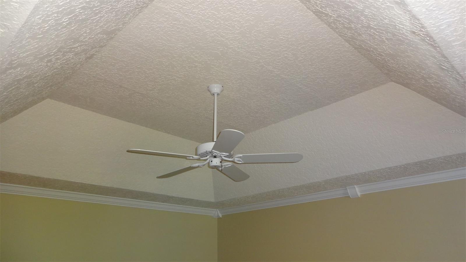 1144 Delaney Ave #1144 Property Photo 4