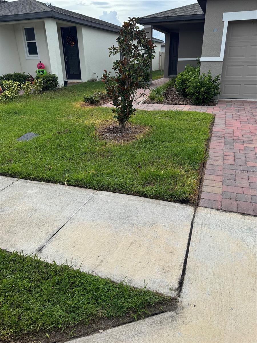 3181 Viceroy Ct Property Photo 25